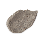 7BF32A23-C6F8-D169-8239-4B2954742356