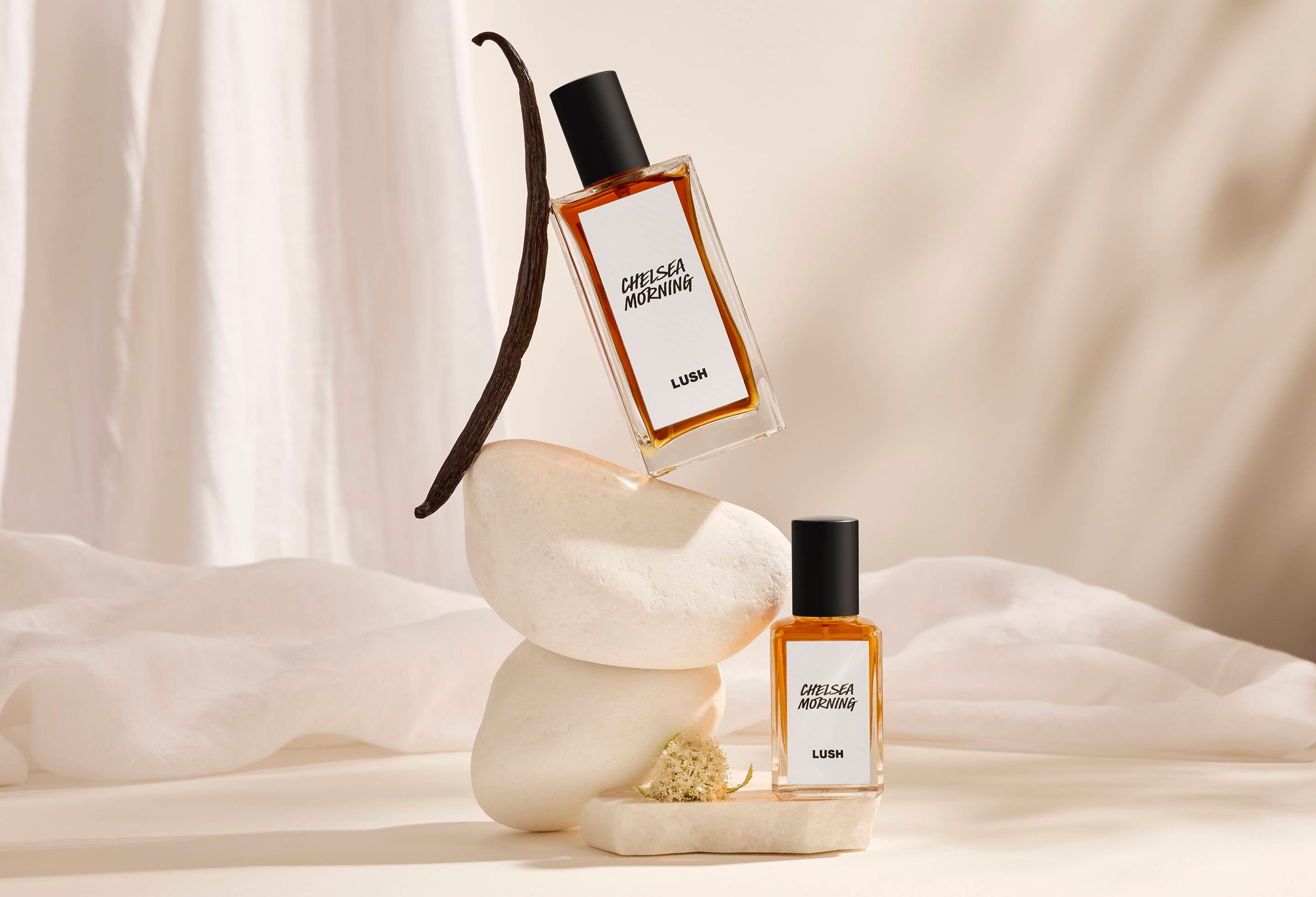 A3C8129E-3CFB-C5E0-2499-7A132C8DE669